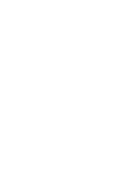 BAVS-logo-mark-white-1-1