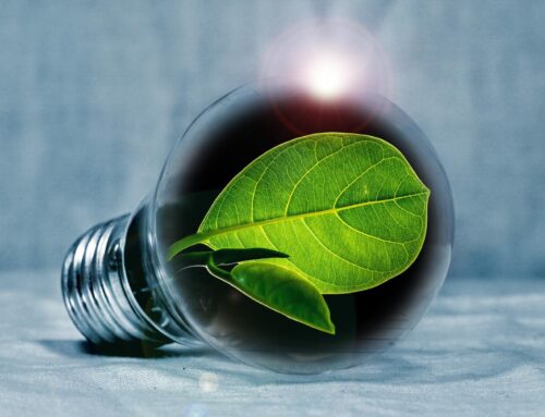 Benefits of Energy Management Services for Smart Homes