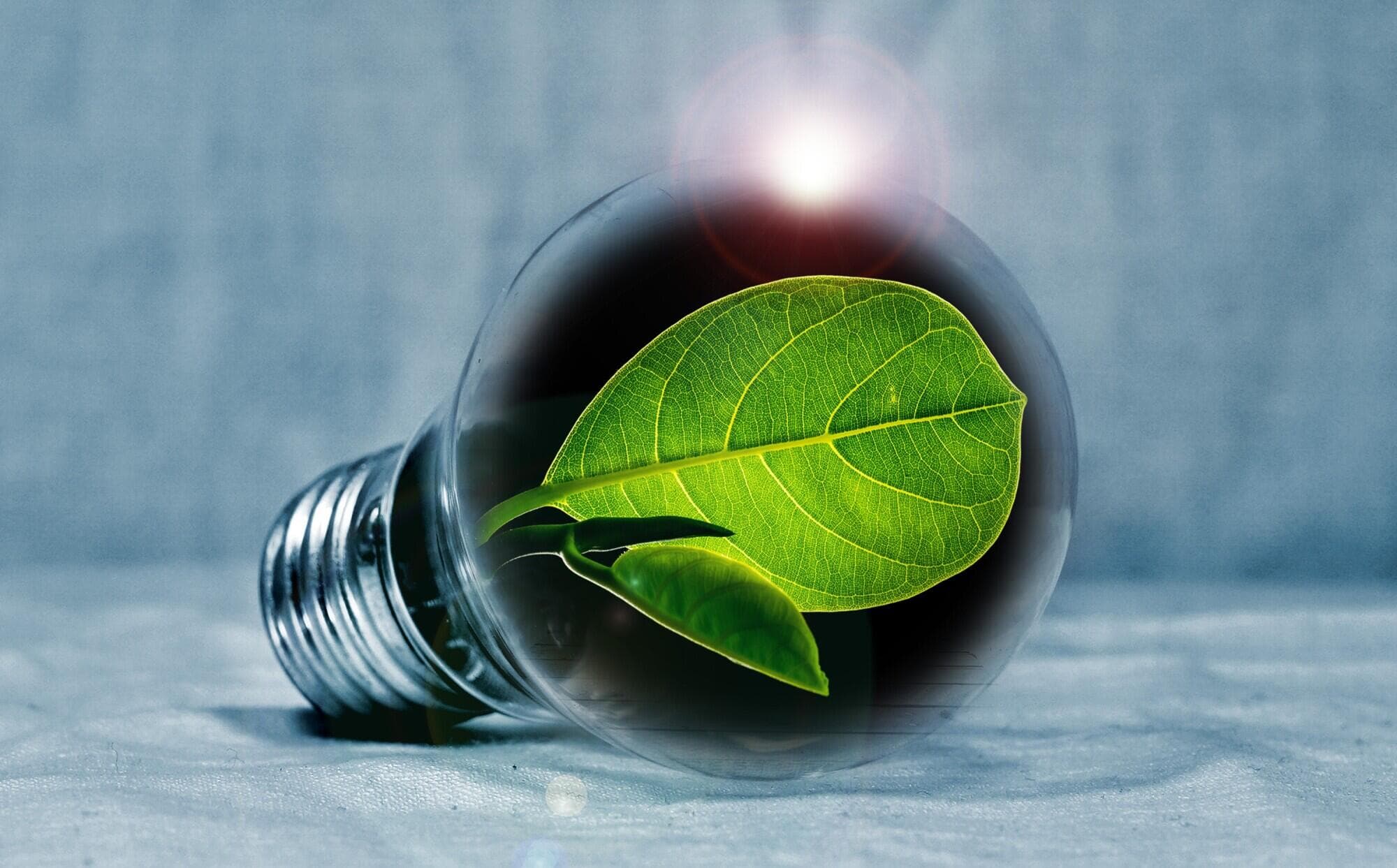 energy-management-services